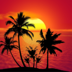 2025年は観測史上3番目の暑さ　C3S報告、温暖化が想定より早まる可能性