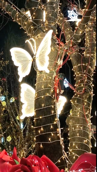 北京・首鋼公園の“雪の庭園”が話題　無料で雪だるま＆光の木々を満喫 video poster