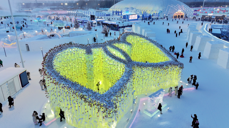 中国本土ハルビンの「Rose Icefall」15mの氷瀑が“冬のロマンス”の新名所に