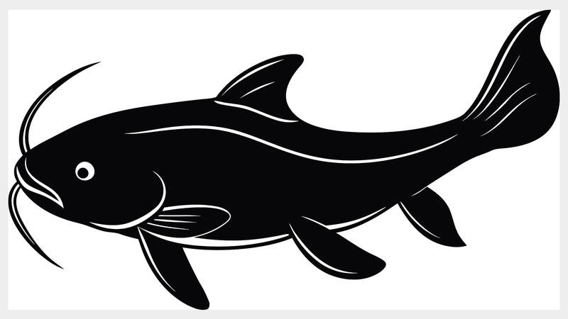 中国研究チーム、保護魚バガリウスの“ほぼ完全”ゲノム解読—保全と増殖へ