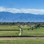 中国本土の9主要地域で生態系が改善、当局が評価結果を公表