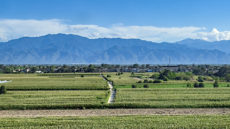 中国本土の9主要地域で生態系が改善、当局が評価結果を公表