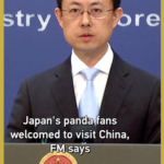 上野動物園の双子パンダが2月までに中国へ返還へ　中国外務省「訪問歓迎」 video poster