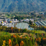 中国本土の農村振興、鍵は産業づくり？「稼ぐ仕組み」をどう育てるか