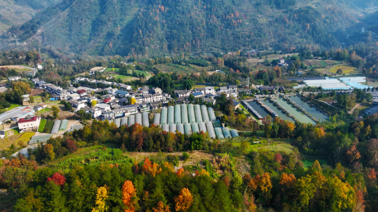 中国本土の農村振興、鍵は産業づくり？「稼ぐ仕組み」をどう育てるか