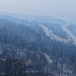 アルゼンチン・パタゴニア山火事、観光客3000人避難　放火疑いも