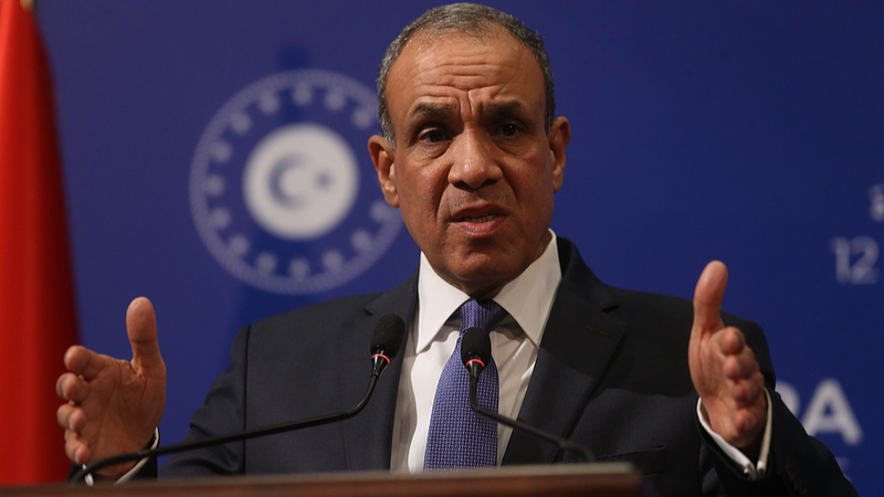 エジプト外相、イラン外相と米特使に相次ぎ電話　緊張緩和と米イラン対話再開を呼びかけ