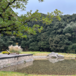 中国本土・雲南省麗江で静けさを“泊まって味わう”――ステイケーションが映す旅の変化