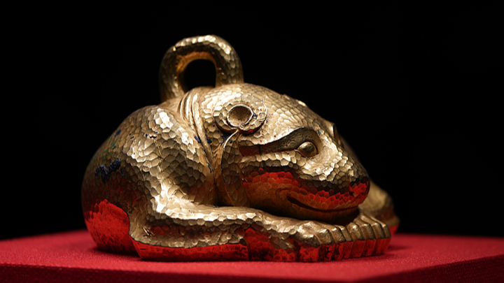 中国、主要な考古学成果6件を発表　動物標本庫から梁祝の水利まで