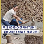 無料の薪割りがストレス解消に？中国本土・浙江で広がる“木を割る”習慣 video poster