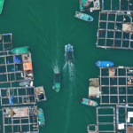 中国本土・海南島沖「海に浮かぶ村」ダンジャ漁村で見る水上の暮らし video poster