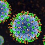 中国研究チーム、経口薬VV116がニパウイルス抑制を示す—2026年1月の再流行で注目