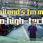 人手不足のタイ農業、中国本土との協力でスマート化が進む video poster