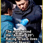 中国本土・山西の「動物120」　獣医教師が20年で1.6万頭救う video poster