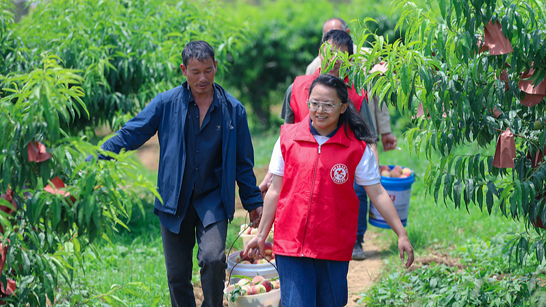 CPCが党内キャンペーン開始へ：実績観を正し「目に見える利益」を重視（2026年7月まで）