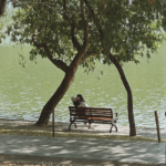 1NZ1SVNTIFADISK5PC5O - NewsTomo – 日本語で読む、世界のニュースハブ 中国本土・深圳は「公園に囲まれたテック都市」だった