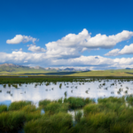 中国本土の湿地面積、アジア首位・世界4位に　法整備と復元が加速 video poster