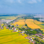 2OT2ZXMCZDPOHN2Q5IP7 - NewsTomo – 日本語で読む、世界のニュースハブ 中国が2026年の「中央1号文書」発表、農業・農村の現代化を推進へ