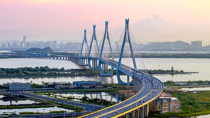 広州でAPEC高級事務レベル会合、春節文化で彩る広東のいま video poster