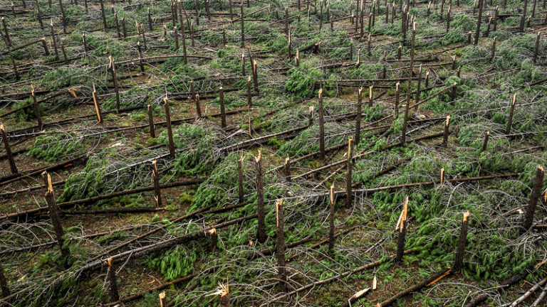 ポルトガルで相次ぐ嵐、1月末以降11人死亡　南部で車が洪水に流される