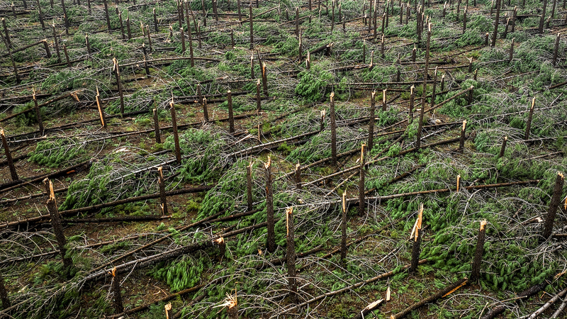 ポルトガルで相次ぐ嵐、1月末以降11人死亡　南部で車が洪水に流される