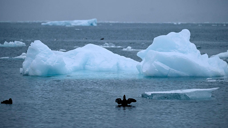 AP世論調査：米国の約7割、グリーンランド「掌握」に反対