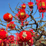 8ANGINNX794APWL8VG0M - NewsTomo – 日本語で読む、世界のニュースハブ 習近平主席、米アイオワの友人に春節カード 交流と協力への思いを強調