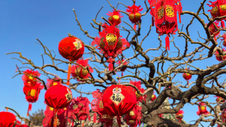 習近平主席、米アイオワの友人に春節カード　交流と協力への思いを強調