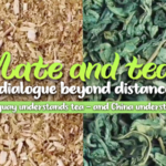 8F58WPS6HSE6OCXN8CCI - NewsTomo – 日本語で読む、世界のニュースハブ マテと中国茶、距離を超える対話:ウルグアイと中国本土の日常 video poster