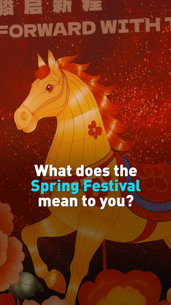 国連職員と外交官が語る「春節」の意味——家族と希望、多様性の季節 video poster