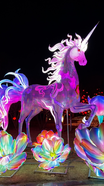 河北・唐山の春節ランタンフェア、AI×ロボット×ドローンで未来風景 video poster