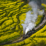四川・楽山で嘉陽蒸気機関車に人だかり　映画きっかけの“春景色”旅