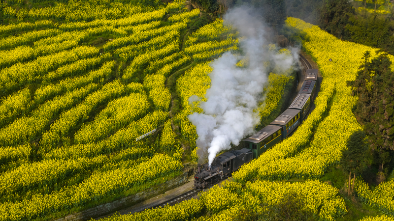 四川・楽山で嘉陽蒸気機関車に人だかり　映画きっかけの“春景色”旅