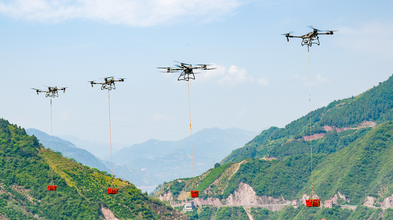 中国、農業近代化を「3本柱」で加速へ：中央一号文書が示す食料安保と農村振興