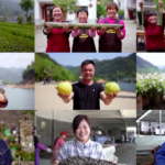 中国本土で進む「緑の転換」：哈爾浜の雪景色と安吉の森が生む収益 video poster