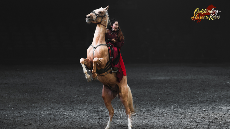 アハルテケ（汗血馬）とは？トルクメニスタンの名馬が結ぶ物語