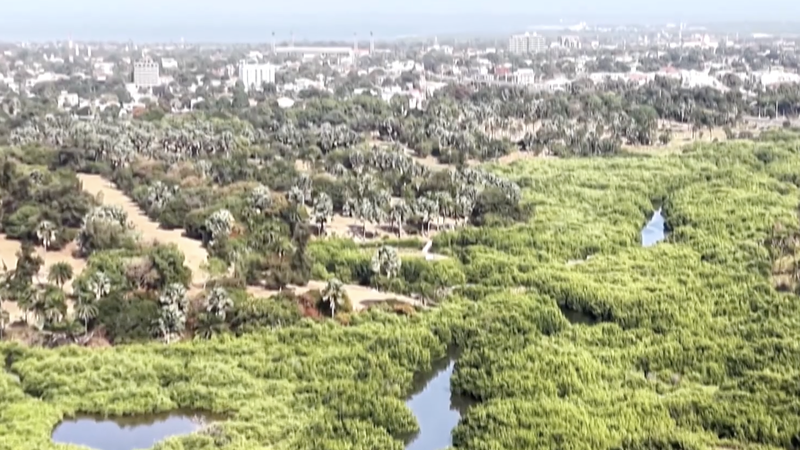 米国のパリ協定離脱発効で資金不足に――アフリカの気候プロジェクトが直面する現実 video poster