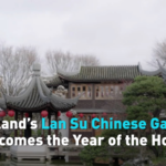 米ポートランドのランスー中国庭園、馬年の春節をにぎやかに祝う video poster
