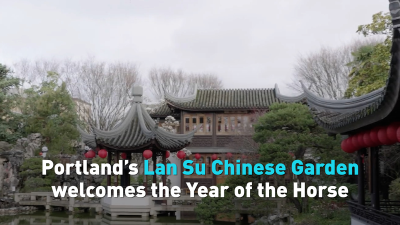米ポートランドのランスー中国庭園、馬年の春節をにぎやかに祝う video poster