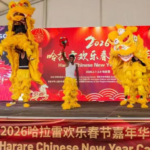 春節がつなぐ中国とアフリカ：2026年「午年」に見える交流の広がり