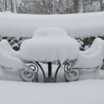 米北東部を歴史的ブリザードが直撃、交通まひと大規模停電