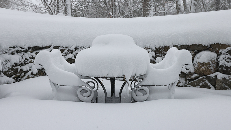 米北東部を歴史的ブリザードが直撃、交通まひと大規模停電