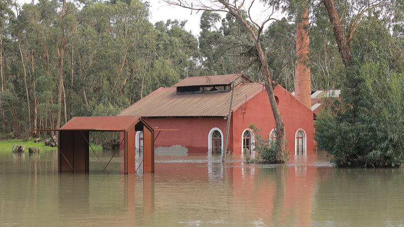 欧州で洪水と寒波が同時進行：嵐と極渦の乱れで被害拡大（2026年冬）