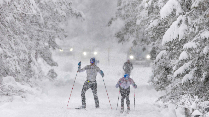 ミラノ・コルティナ2026冬季五輪、公式LLMを初導入　中国本土の技術支援で運営と観戦を刷新