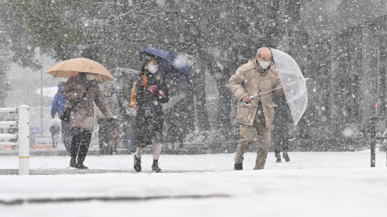 大雪で死者46人・負傷543人　ANA欠航と入試延期も、消防庁が公表