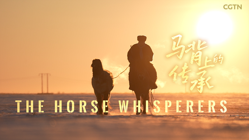 内モンゴルの調教師マンライと31歳の黄馬――草原の「魂」をつなぐ物語