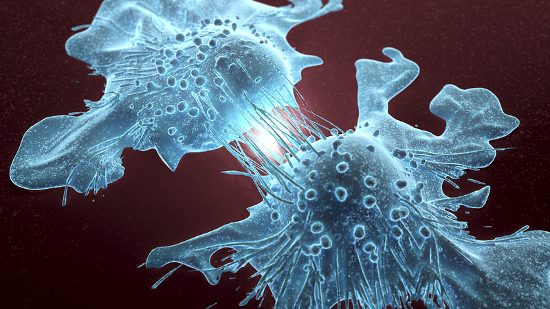 KAIST、がん細胞を「殺さず戻す」分子スイッチを特定　臨界転移を捉える新手法