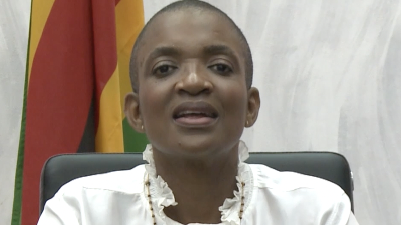 ジンバブエ観光相、春節に中国との文化交流強化を呼びかけ video poster