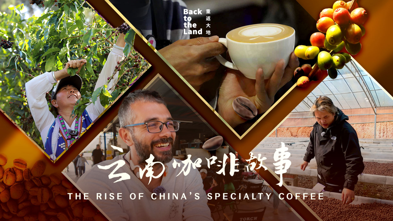 茶の街・普洱から世界へ：中国本土スペシャルティコーヒーの急伸 video poster