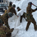 日本の雪嵐で30人死亡—今週のアジアニュースで注目された冬の荒天